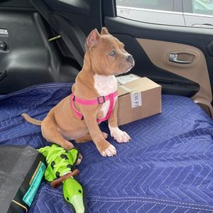 Meet your Posher, Edward